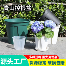 透明青山盆 鐵線蓮月季多肉蝴蝶蘭塑料花盆批發廠家 控根加侖盆