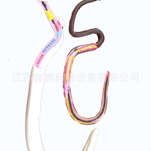 33105血吸蟲模型雌雄合抱可拆裝教學儀器生物醫學器材教學儀器
