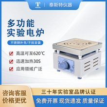 天津泰斯特電爐高溫爐電子調溫官方正品廠家直銷電爐DK-98-II