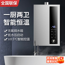 批發 天然氣燃氣熱水器電家用煤氣液化氣強排平衡式燃氣款16L沐浴