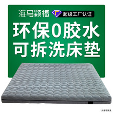 乳膠黃麻棕墊硬老人兒童護脊床墊高箱床榻榻米墊薄1.8m雙面可拆洗