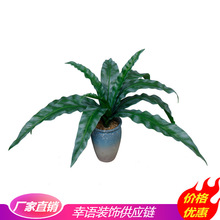 廠家批發仿真植物仿真綠植景觀造景插花綠葉芒蕨葉假樹葉