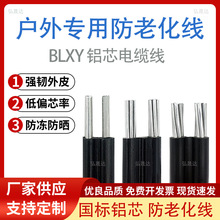 鋁芯防老化電線 國標鋁線2芯 6 10 16 25 35平方平行集束導電纜線