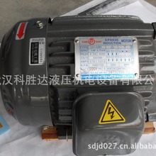 CHYUNTSEH群策電機SY馬達C02-43BO.CB2-43BO.C15-43BO 空心軸0.75