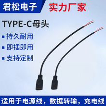 廠家定制Type-C單公頭母頭兩芯手機充電延長線對接插座電源連接線