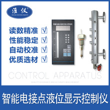 淮儀-電接點液位計 雙色電接點液位計 電極式液位計的生產廠家