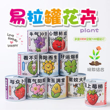 趣味易拉罐水果花草盆栽植物種植學生桌面擺件栽培盆景小綠植批發