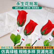 仿真花玫瑰假花可愛可通小熊裝飾客廳擺放花擺件拍攝道具活動禮品