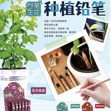 小花農鉛筆種植盲盒 妙筆生花 兒童DIY盆栽種植玩具學生創意禮品