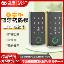 桑拿鎖感應鎖更衣櫃電子鎖儲物櫃洗浴中心櫃門鎖浴室櫃子鎖抽屜鎖