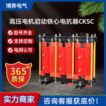 高壓電機啟動鐵心電抗器315KW Q/CKSC-480/10-6% 5.46Ω6-10-12KV
