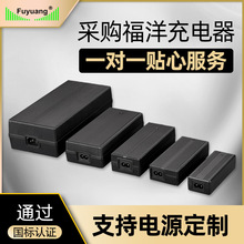 廠家批發29.2V10A磷酸鐵鋰電池充電器CE認證電瓶車電動車充電器