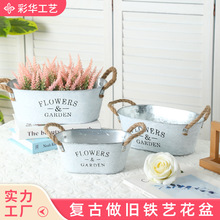 跨境熱賣橢圓形鐵皮花盆田園多肉鐵藝花盆復古白色陽台盆栽花器