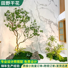 仿真吊鍾樹造景組合北歐風擺件櫥窗裝飾馬醉木大型綠植高度馬醉木