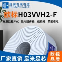 廠家直銷H03VVH2-F純銅材質歐標電源線耐壓電線護套扁線2*0.5平方