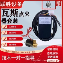 220V瓦斯紅外線點火器 紅外線爐頭配件熄火保護點火器脈沖點火器