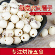 低溫烘焙五谷雜糧 批發五谷豆漿去取芯心湘蓮籽磨粉 熟磨皮白蓮子