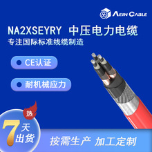 CE認證中壓電力電纜 歐標NA2XSEYRY鋼絲鎧裝中壓電纜