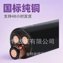 yjv 5*16 低壓電力電纜 國標純銅芯電線電纜 yjv電纜線5芯16平方