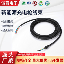 工廠生產環保有TUVCE認證的3.5KWAC7.5KWAC21KW交流充電槍線束