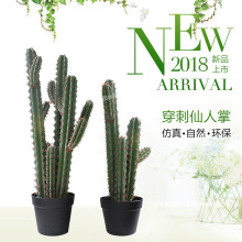 仿真穿刺仙人掌 假綠植盆栽PE塑料客廳辦公室綠化裝飾 仿真仙人掌
