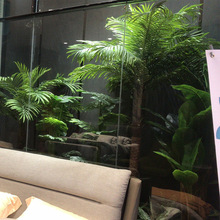 仿真植物裝飾綠植散尾葵櫥窗搭配造景空間美化景觀綠植設計假樹