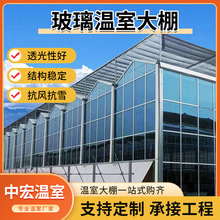蔬菜智能玻璃溫室大棚 種植農業溫室大棚 工程養殖草莓溫室大棚