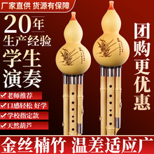 金絲楠竹三音葫蘆絲學生初學演奏葫蘆絲可拆卸學校采購葫蘆絲樂器