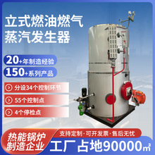 加工定制立式燃油燃氣蒸汽發生器干洗店燙熨食品廠熱水蒸汽鍋爐