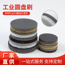 尼龍豬鬃拋光機圓盤毛刷文玩核桃拋光機毛刷野豬鬃毛刷盤廠家批發
