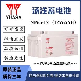 YUASA\NP65-12yʽUSo늳12V65AUPSEPSֱվ