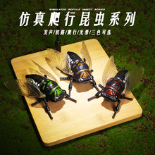 新款上鏈發條行駛仿真金蟬子創意新奇搞笑小玩具模型擺件仿真知了