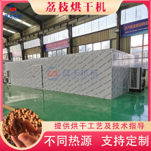 荔枝龍眼烘干機 全自動荔枝干水果去核脫水烘烤機 干桂圓烘干設備