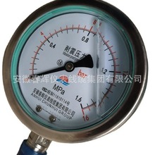 不銹鋼耐震壓力表防震壓力表YJTN-100充硅油