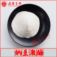 白色納豆激酶20000FU/g 枯草桿菌蛋白酶NK 多規格 淺黃色2000FU/g