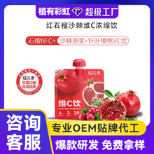 輕元素NFC紅石榴沙棘葉櫻桃植物維C飲料復合營養果蔬汁