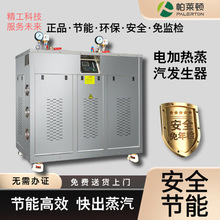 電加熱48kw-216kw蒸汽發生器食品加工烘干保溫安全節能小型