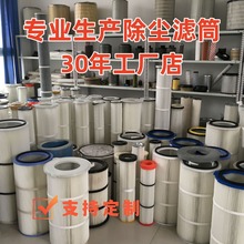 定制工業除塵濾筒噴砂機拋丸機噴塗噴粉塑粉濾芯聚酯纖維覆膜濾材