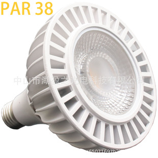 led植物生長燈全光譜par20par30par38室內多肉盆栽植物補光燈