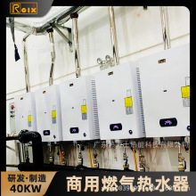 廠家直銷商用燃氣熱水器20L 天然氣熱水鍋爐壁掛爐