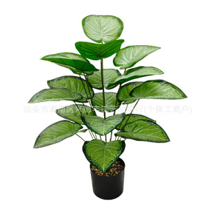 亞馬遜仿真植物綠蘿彩芋葉假綠植盆栽婚慶室內裝飾園林造景批發