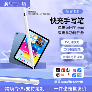 ipad羳lݹP֌`|ƽ|PmO{|عP