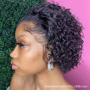 lQl13X1ٽz˰lٰlСl̿^pixie curls wig