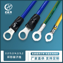 圓端接地線O型圓環端子線電子線冷壓端子線配電器線束電源接線