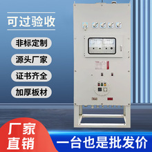 不銹鋼防爆配電箱 檢修接線隔爆箱 粉塵儀表照明力正壓接線控制箱