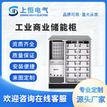 廠家定制工商業大型儲能櫃光伏發電磷酸鋰鐵戶外液冷工商櫃智能