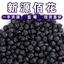 批發曬干藍莓藍莓大果 散裝休閑零食大包裝藍莓干 蜜餞水果干500g