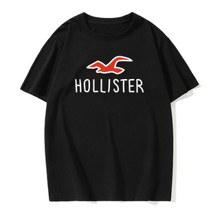 bQT HOLLISTERӡD 䁆Rd AI\