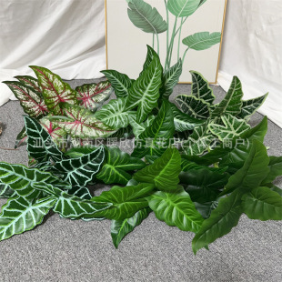【新品】9頭銀葉菊馬蹄葉植物牆裝飾室內仿真植物裝飾假花盆栽