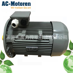 늙C AC-MOTOREN GMBH  FCA132MB6/PHE